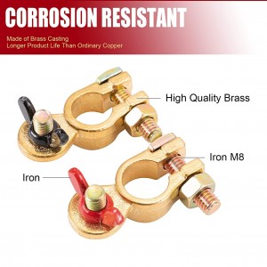 102065 Izitshixo zeBattery 12V/24V Iziqhagamshelo zeBrass Clamp